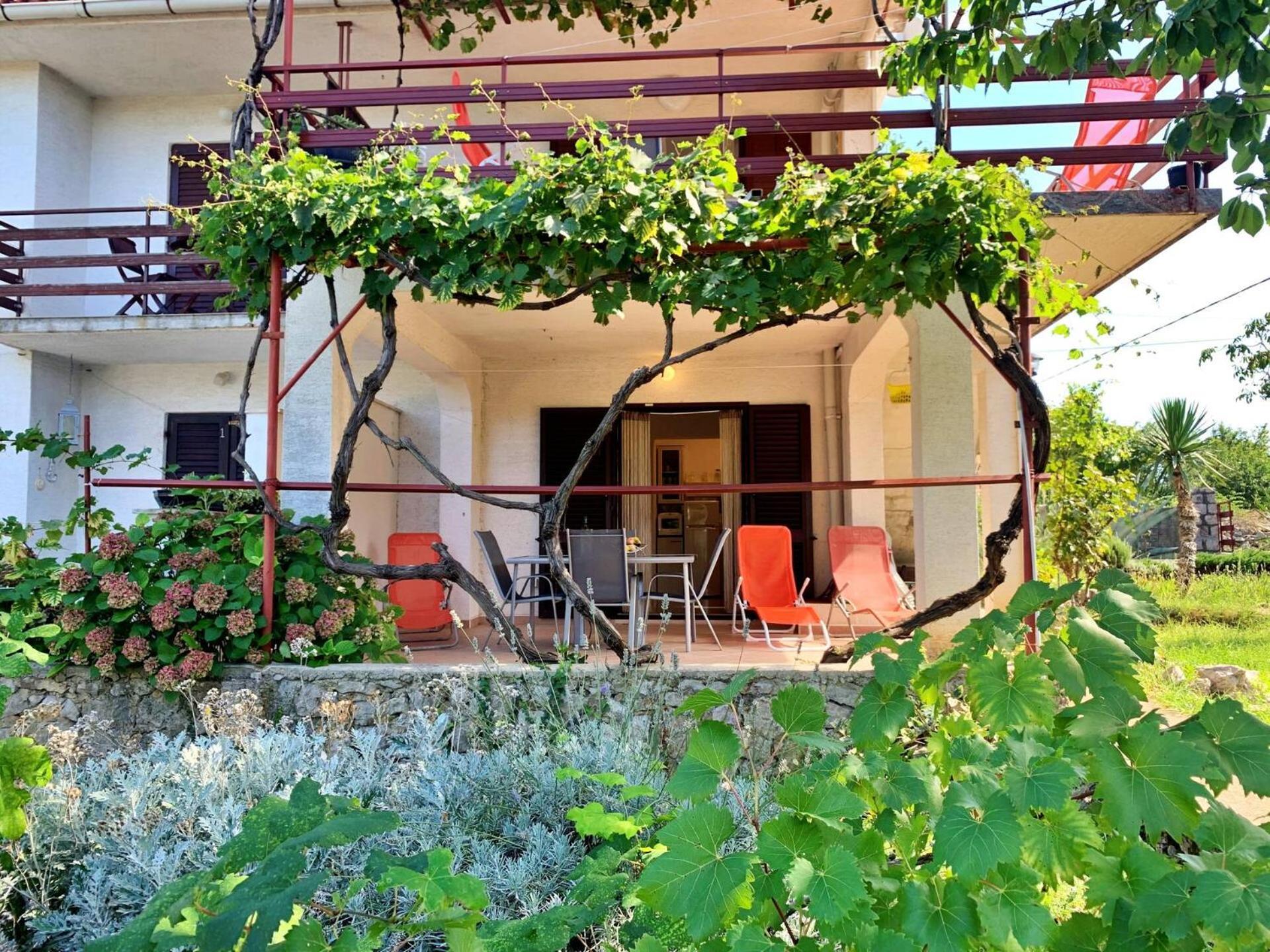 שילו Apartments Viola מראה חיצוני תמונה